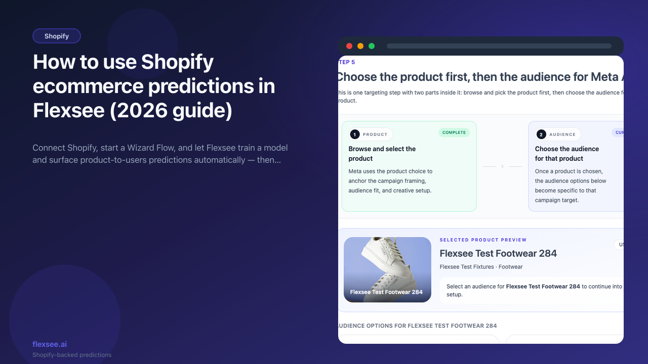 Wizard Flow — Shopify product audience predictions
